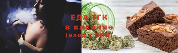 гашик Ладушкин