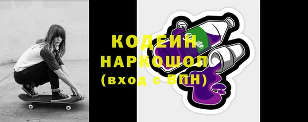 гашик Ладушкин