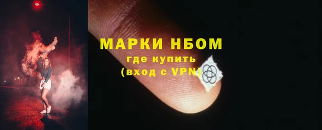 гашик Ладушкин