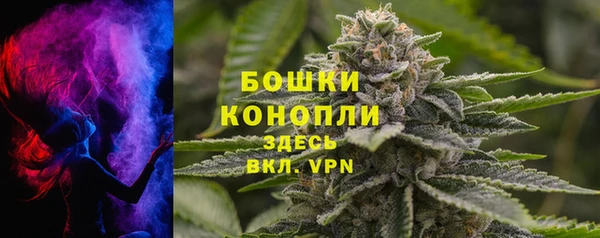 гашик Ладушкин