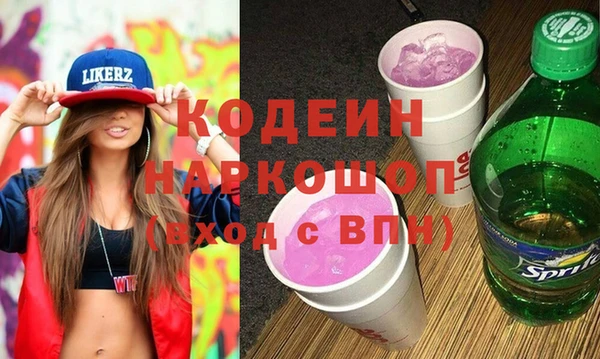 гашик Ладушкин